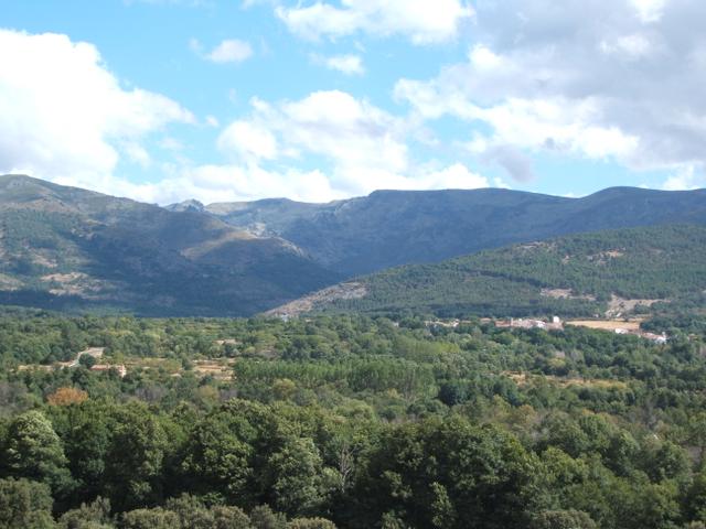 BOHOYO